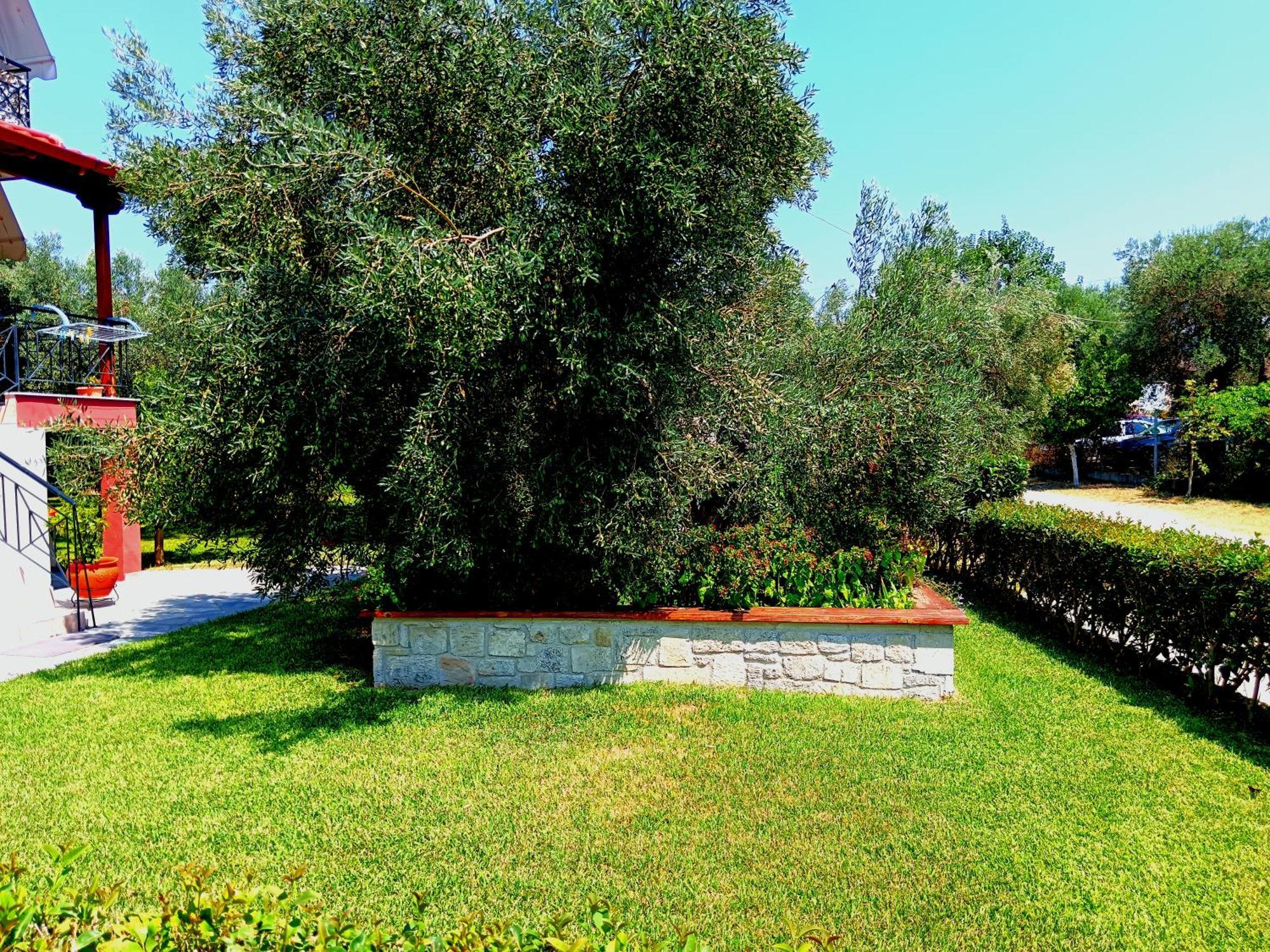 Giorgos Apartments. Σκάλα Φούρκας Εξωτερικό φωτογραφία