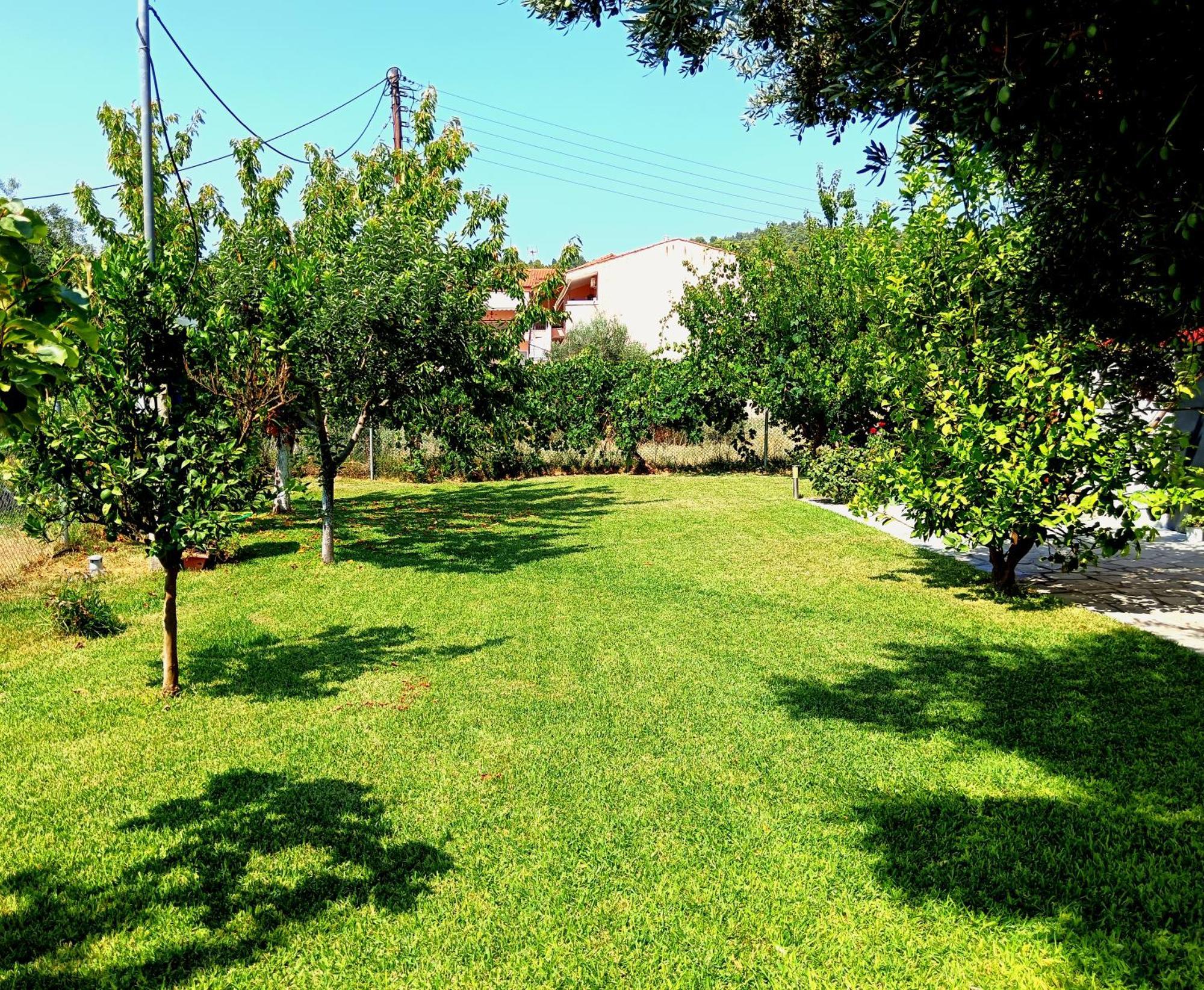 Giorgos Apartments. Σκάλα Φούρκας Εξωτερικό φωτογραφία